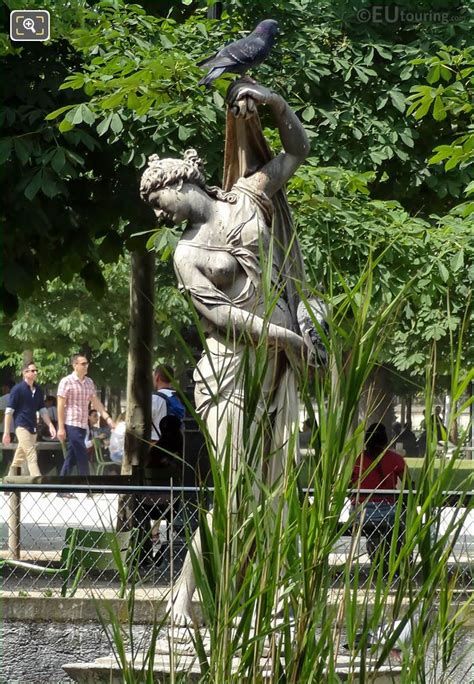 Photos Of Venus Callipyge Statue In Jardin Des Tuileries Page