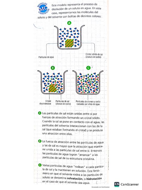 Proceso De Disolución Pdf