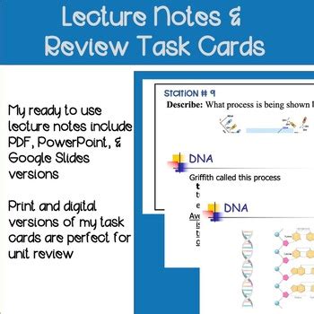 Dna Rna Protein Synthesis Unit Growing Bundle Biology Miller And