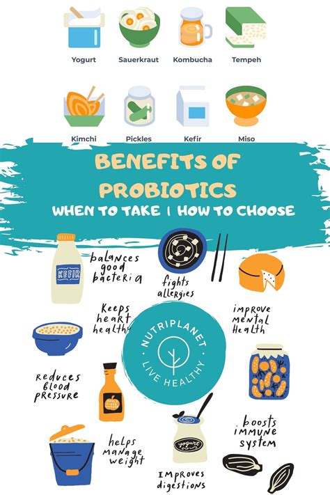 Probiotics Benefits How To Choose When To Take Safety Probiotics