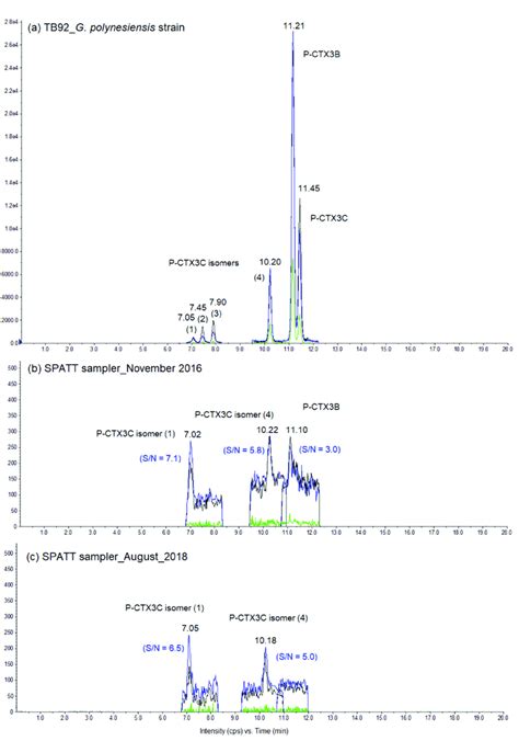 Liquid Chromatography Coupled To Tandem Mass Spectrometry Lc Msms Download Scientific