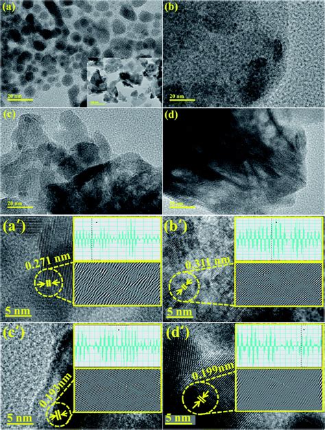 Evaluation Of Bactericidal Potential And Catalytic Dye Degradation Of