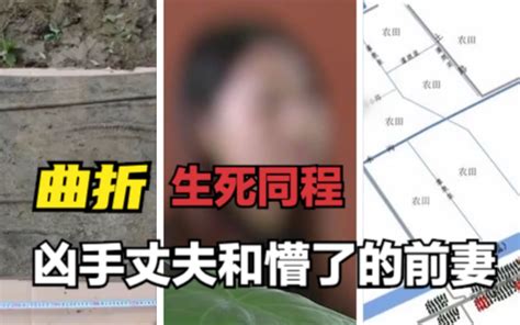 生死同程 尹小刚 老马拍案 老马拍案 哔哩哔哩视频