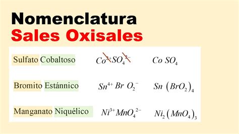 Descubre Qu Son Las Sales Oxisales Y Sus Ejemplos