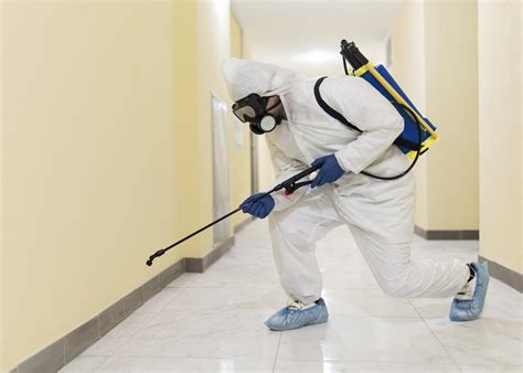 How To Prevent Pests From Coming Back Into Your Property Best Rated Termite And Pest Control