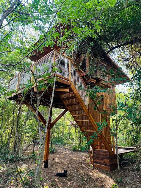 Costa Rica Treehouse Vacation Rentals | Airbnb