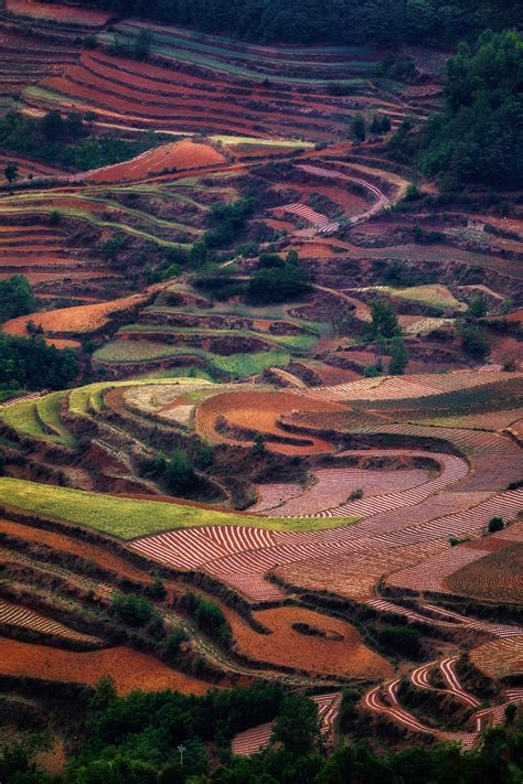 9 Day China Photography Tour Yunnan Rice Terrace The Red Land