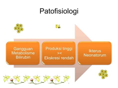 Ikterus Neonatorum Ppt