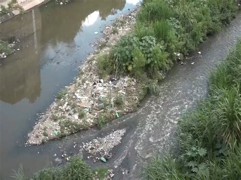 Aguas residuales causan contaminación en el Rio Choluteca CBC Canal 6