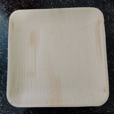 10inch Square Areca Leaf Plate At Rs 5 Piece Pakku Mattai Plate In