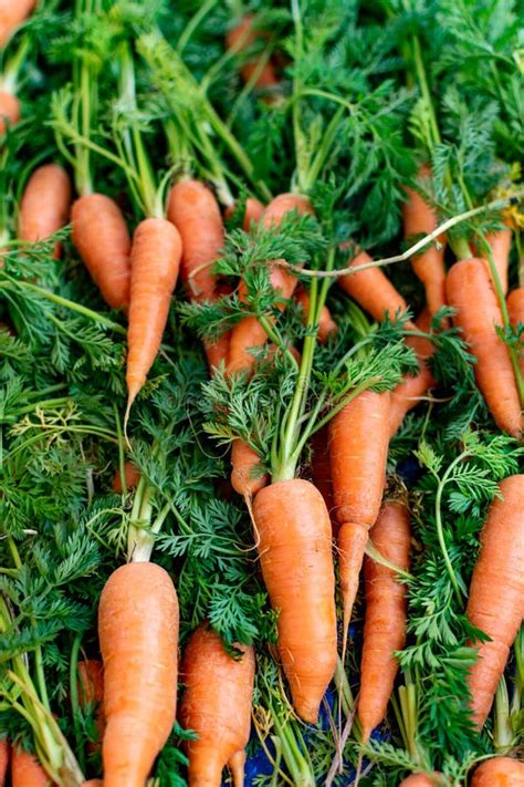 Verse Jonge Wortelen Met Bladeren Op De Landbouwmarkt Stock Afbeelding