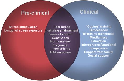 Sex Differences In Vulnerability And Resilience To Stress Across The Life Span Biological