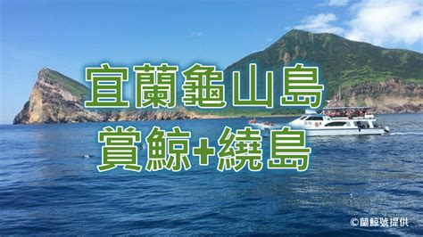 【2021龜山島賞鯨賞海豚】登龜山島、401高地懶人包 國光威樂假期