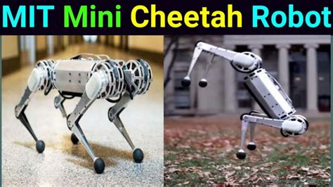 Mits Mini Cheetah The First Four Legged Robot Who Can Do A Perfect