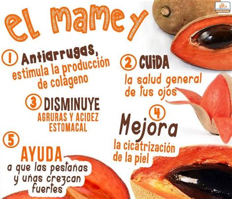 Beneficios Del Mamey Y Sus Propiedades Curativas