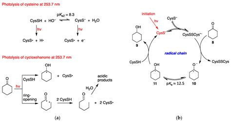 Molecules Free Full Text Biomimetic Ketone Reduction By Disulfide Radical Anion