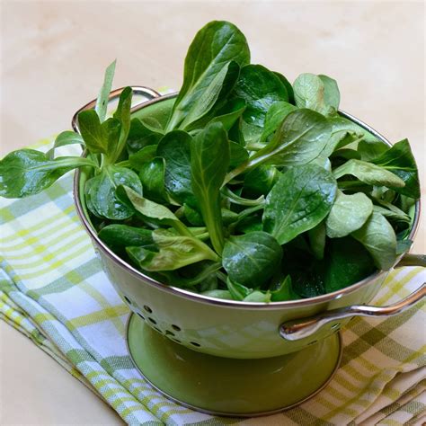 Feldsalat Mit Himbeerdressing Rezepte Kaffee Oder Tee Tv