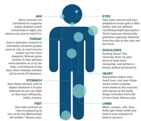 The Neuroscience Of Anger Mental Health Academy