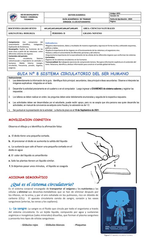 Guia Biologia Sistema Circulatorio De Los Seres Vivos Docentes