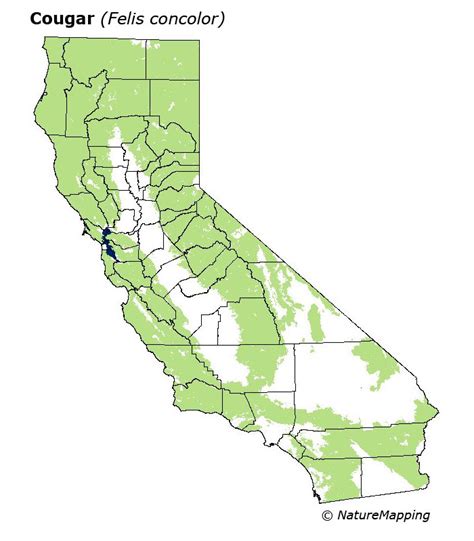 Mountain Lion Habitat Map