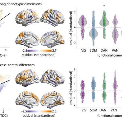 Distinct Cortical Thickness Signatures Within Functional Networks Left