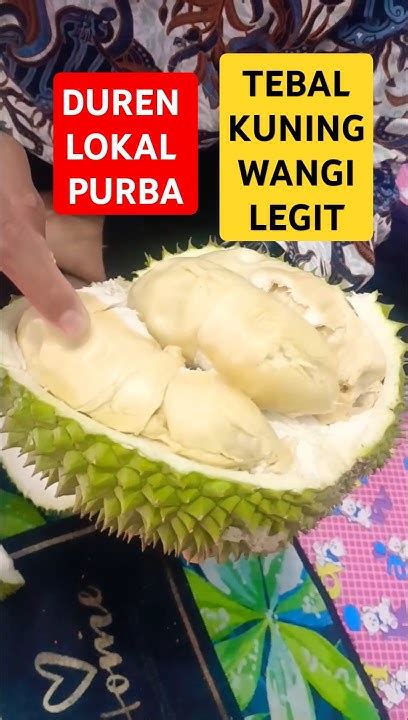 duren purba daging tebal warna kuning tekstur lembut  legit