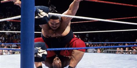 Survivor Series 1992 Blog Di Wrestlinglegend