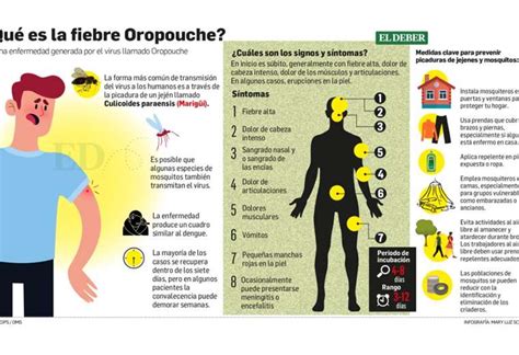 El Jej N O Ej N Es El Causante Del Oropouche Y El De Los Cobije Os