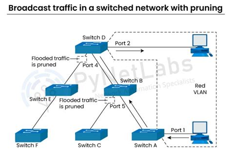 What Is Vtp In Networking Vlan Trunking Protocol