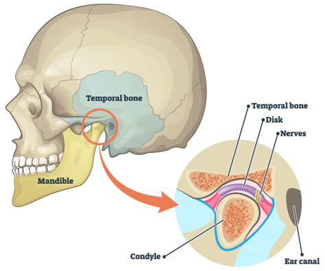 TMJ Disorder - Signs & Symptoms | Hartley Bridge TMJ Macon