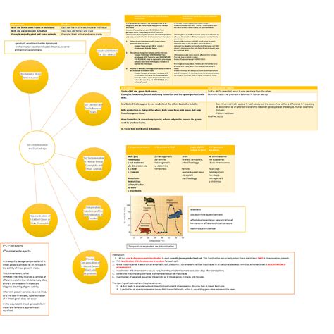 Las Aportaciones Mind Map Hot Sex Picture