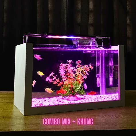 Hướng Dẫn Làm Bể Cá Thủy Sinh Mini