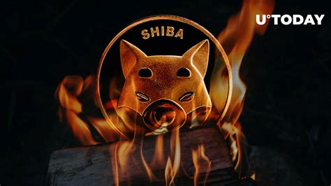 Shiba Inu Burn Rate Plummets With Only Million Shib Burned In Week