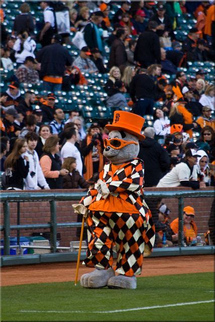 Sf Giants Mascot Lou Seal In Loudmouth San Francisco Giants Baseball