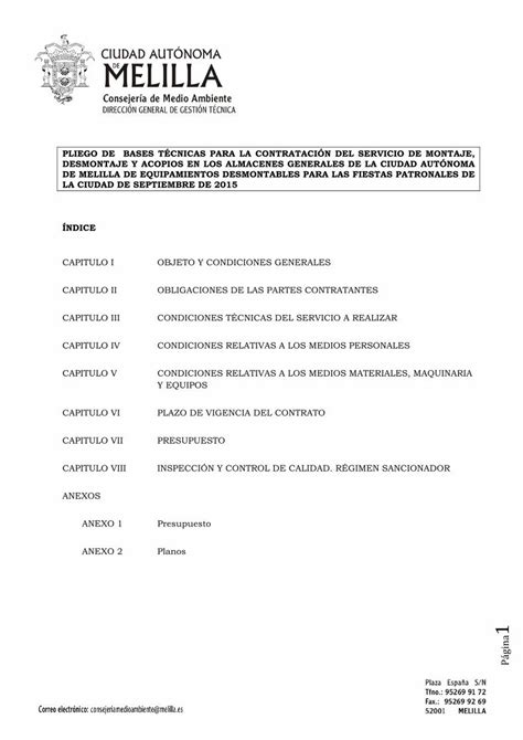 PDF PLIEGO DE BASES TÉCNICAS PARA LA CONTRATACIÓN DEL por