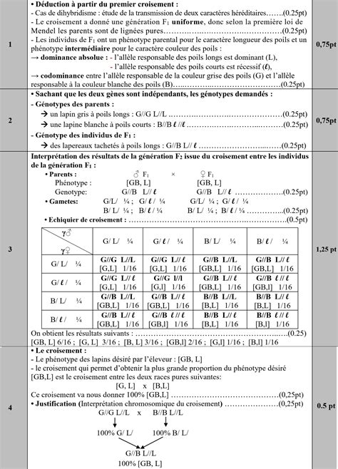 Examen National Session Rattrapage 2023 Sciences De La Vie Et De