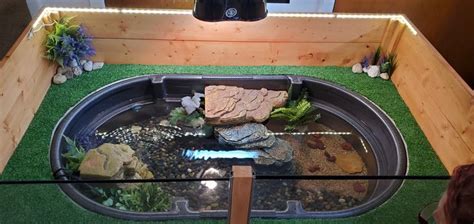 Indoor Turtle Pond Turtle Habitat Turtle Pond Turtle Tub