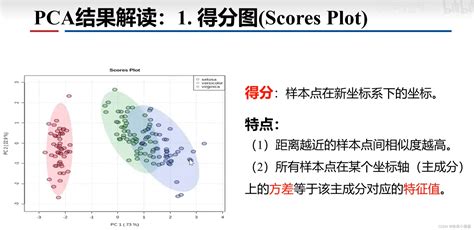 PCA分析主成分分析 结果解读 主成分分析结果怎么看 CSDN博客