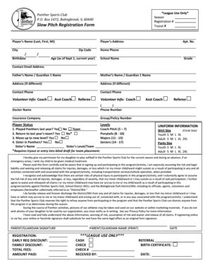 Fillable Online Slow Pitch Registration Form Fax Email Print Pdffiller