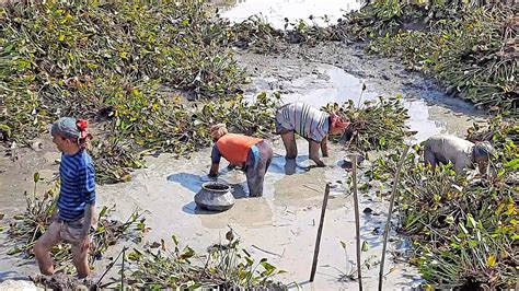 Fishing From Kachuripana In Field With Natural Beauty Catfish