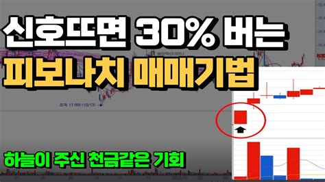 텔레칩스 🔥 조정장에서 더욱 빛을 발하는 최고의 매매기법 주식초보도 쉽게 30 수익내는 매매법입니다 추가 보너스 포함