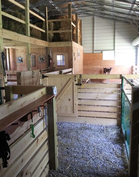 Goat Barn A Peek Inside Goat Barn Goat Shelter Goat House