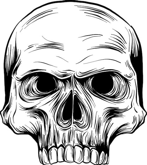 Premium Vector Vector Black And White Illustration Of Human Skull With A Lower Jaw In Ink Hand