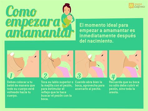 Como Empezar Amamantar Lactancia Baby Prep Prego Maternity