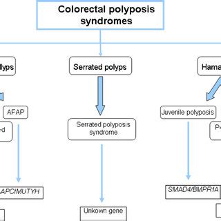 Polyposis Syndromes Classified By Polyp Histologic Features And Genetic