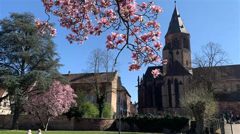 Retable De LEglise Saint Georges De Haguenau Radfahren Im Elsass