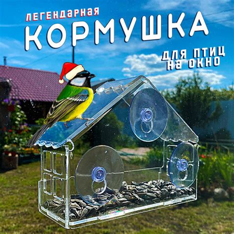 Кормушка для птиц на окно - купить с доставкой по выгодным ценам в ...