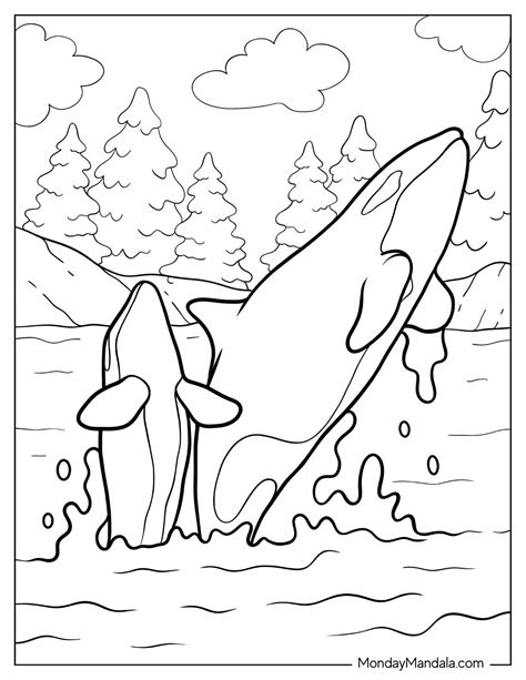 Free Coloring Pages Jonah And The Whale [2025]