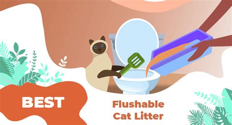 Best Flushable Cat Litter - LOL Cats