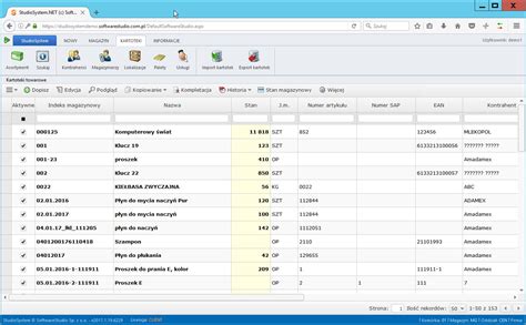 Programy Magazynowe System Wms